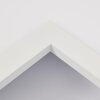 TURBALÁ Ceiling Light LED white, 2-light sources, Remote control, Colour changer