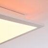 TURBALÁ Ceiling Light LED white, 2-light sources, Remote control, Colour changer