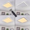 SALAMO Ceiling Light LED white, 2-light sources, Remote control