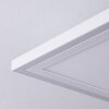 SALAMO Ceiling Light LED white, 2-light sources, Remote control