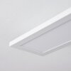 NEXO Ceiling Light LED white, 1-light source, Remote control