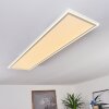 SALAMO Ceiling Light LED white, 2-light sources, Remote control
