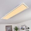 SALAMO Ceiling Light LED white, 2-light sources, Remote control