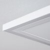 SALAMO Ceiling Light LED white, 2-light sources, Remote control