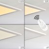 NEXO Ceiling Light LED white, 1-light source, Remote control