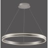 Paul Neuhaus Q-VITO Pendant Light LED stainless steel, 1-light source, Remote control