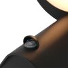 Steinhauer LUZON Outdoor Wall Light LED black, 1-light source