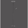 Leuchten-Direkt HANS Floor Lamp LED black, 2-light sources