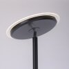 Leuchten-Direkt HANS Floor Lamp LED black, 2-light sources
