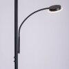 Leuchten-Direkt HANS Floor Lamp LED black, 2-light sources