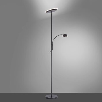 Leuchten-Direkt HANS Floor Lamp LED black, 2-light sources