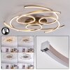 COJCAM Ceiling Light LED matt nickel, 3-light sources