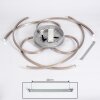 COJCAM Ceiling Light LED matt nickel, 3-light sources