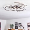 COJCAM Ceiling Light LED matt nickel, 3-light sources