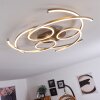 COJCAM Ceiling Light LED matt nickel, 3-light sources