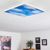 ONLAJ Ceiling Light LED white, 1-light source, Remote control