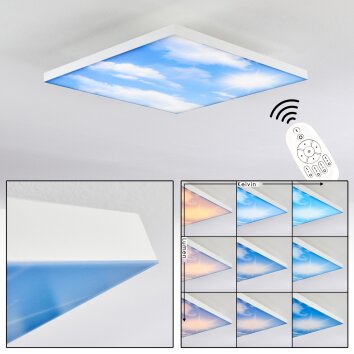 ONLAJ Ceiling Light LED white, 1-light source, Remote control