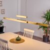 INICIO Pendant Light LED brass, 3-light sources