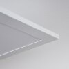 SORDOS Ceiling Light LED white, 1-light source, Motion sensor