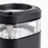 CORNEDA Outdoor Wall Light black, 1-light source