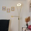 TIERZ Floor Lamp LED brass, 2-light sources
