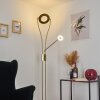 TIERZ Floor Lamp LED brass, 2-light sources