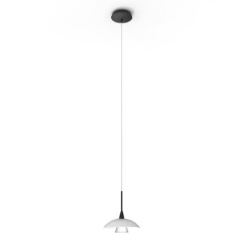 Steinhauer Tallerken Pendant Light LED black, 1-light source