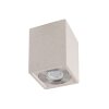 Mantra LEVI outdoor ceiling light white, 1-light source