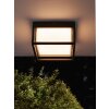 Mantra CHAMONIX outdoor ceiling light LED grey, 1-light source