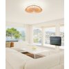Mantra HIMALAYA ceiling fan LED Light wood, 1-light source, Remote control
