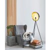 EGLO DARNIUS Floor Lamp gold, black, 1-light source