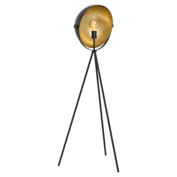 EGLO DARNIUS Floor Lamp gold, black, 1-light source