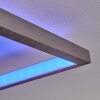 Momahaki Ceiling Light LED chrome, 1-light source, Remote control