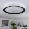 Gladstone Ceiling Light LED black, white, 1-light source, Remote control
