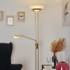 Mairoa Floor Lamp LED brass, 2-light sources