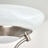 Mairoa Floor Lamp LED matt nickel, 2-light sources