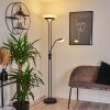 Mairoa Floor Lamp LED black, 2-light sources