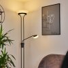 Mairoa Floor Lamp LED black, 2-light sources