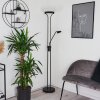 Mairoa Floor Lamp LED black, 2-light sources
