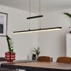 Barrud Pendant Light LED black, 1-light source