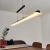 Barrud Pendant Light LED black, 1-light source