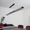 Barrud Pendant Light LED black, 1-light source