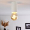 Agnano Ceiling Light white, 1-light source