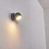 Kapowai Outdoor Wall Light LED anthracite, 1-light source