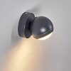 Kapowai Outdoor Wall Light LED anthracite, 1-light source