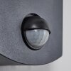 Carinola Outdoor Wall Light LED anthracite, 1-light source, Motion sensor