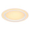 Globo DAHLA Ceiling Light LED white, 1-light source, Colour changer