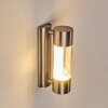 Caivano Outdoor Wall Light LED matt nickel, 1-light source
