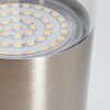 Caivano Outdoor Wall Light LED matt nickel, 1-light source