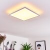 Badia Ceiling Light LED white, 2-light sources